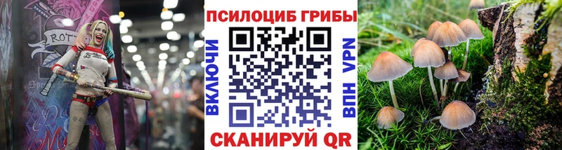 купить   Трубчевск  Галлюциногенные грибы MAGIC MUSHROOMS 